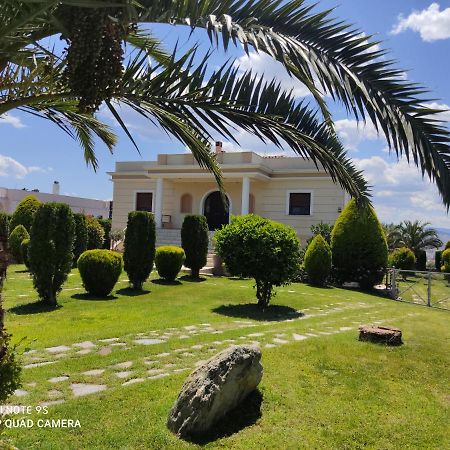Luxury Villa Thea Volos Buitenkant foto