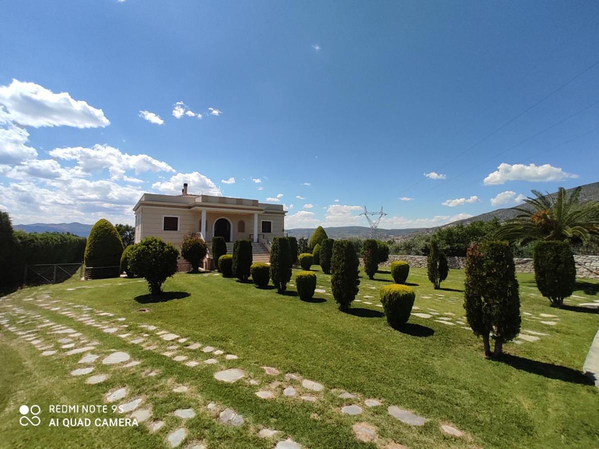 Luxury Villa Thea Volos Buitenkant foto
