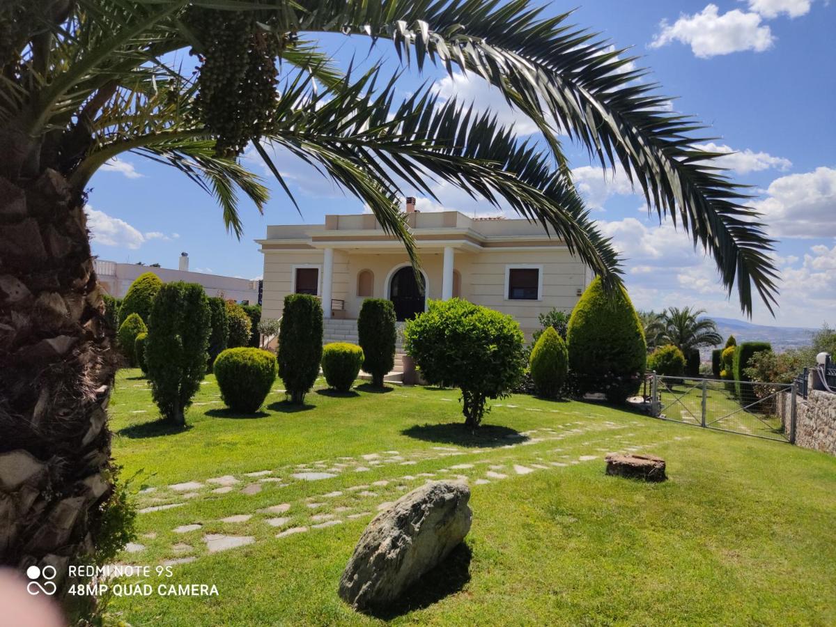 Luxury Villa Thea Volos Buitenkant foto
