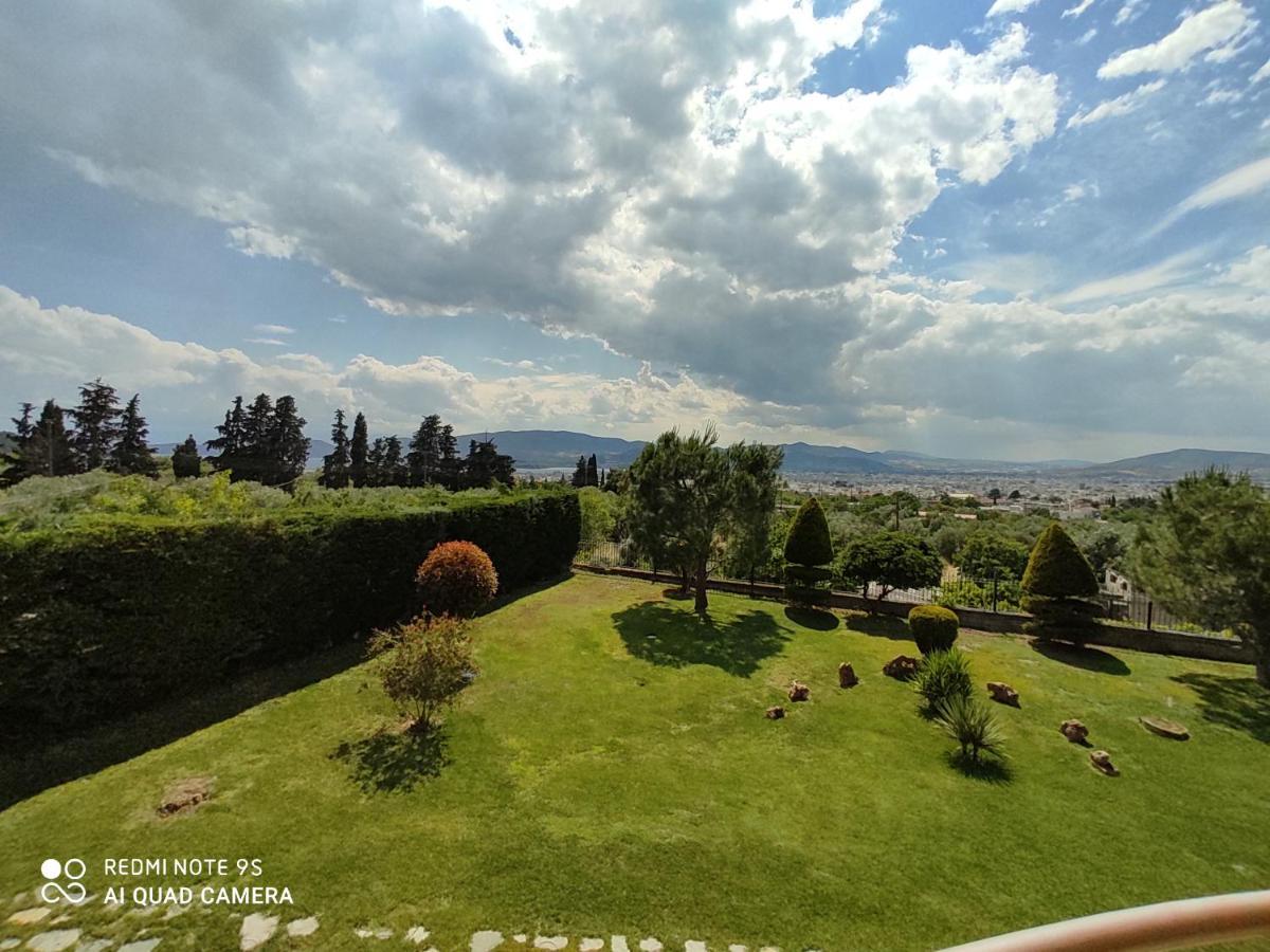 Luxury Villa Thea Volos Buitenkant foto