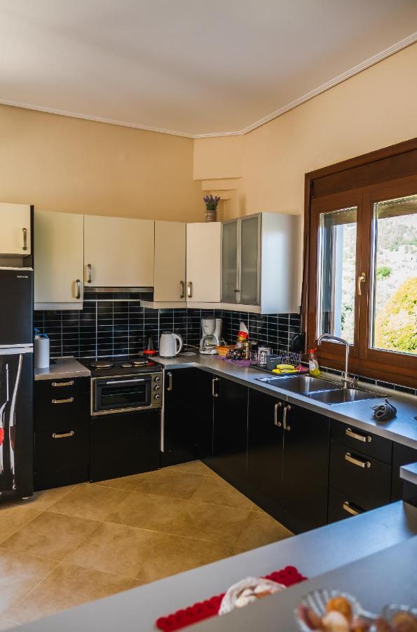 Luxury Villa Thea Volos Buitenkant foto