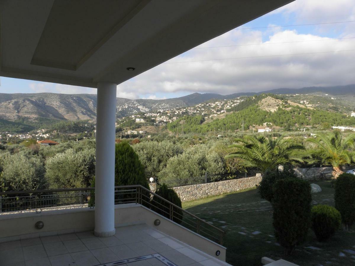 Luxury Villa Thea Volos Buitenkant foto