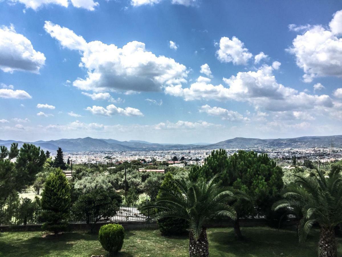 Luxury Villa Thea Volos Buitenkant foto
