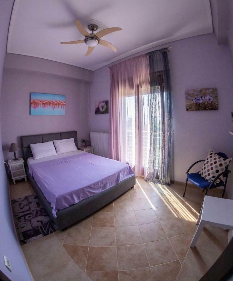 Luxury Villa Thea Volos Buitenkant foto